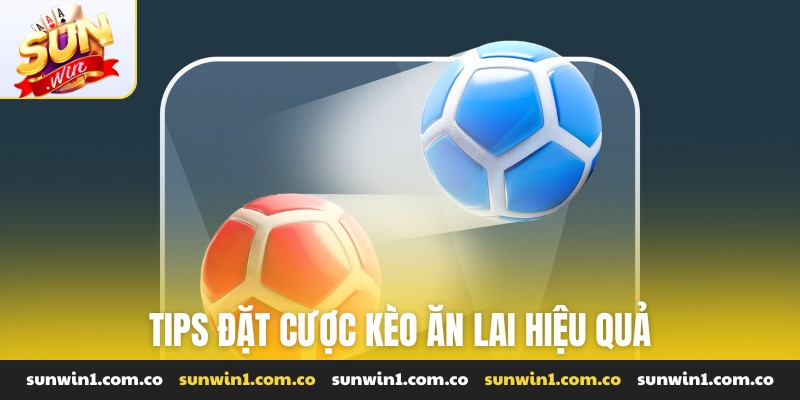 Tips đặt cược kèo ăn lai hiệu quả